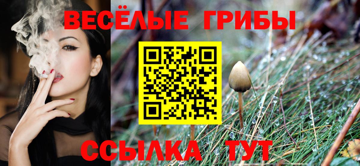 Галлюциногенные грибы Psilocybine cubensis  Галлюциногенные грибы мухоморы  дарнет шоп  Губаха  Вход с VPN 